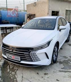 بی وای دی دیسترۆیەر 05